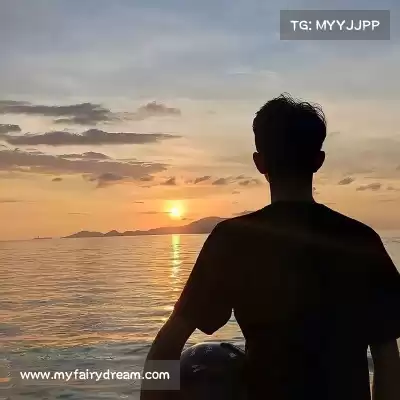 凤万宇